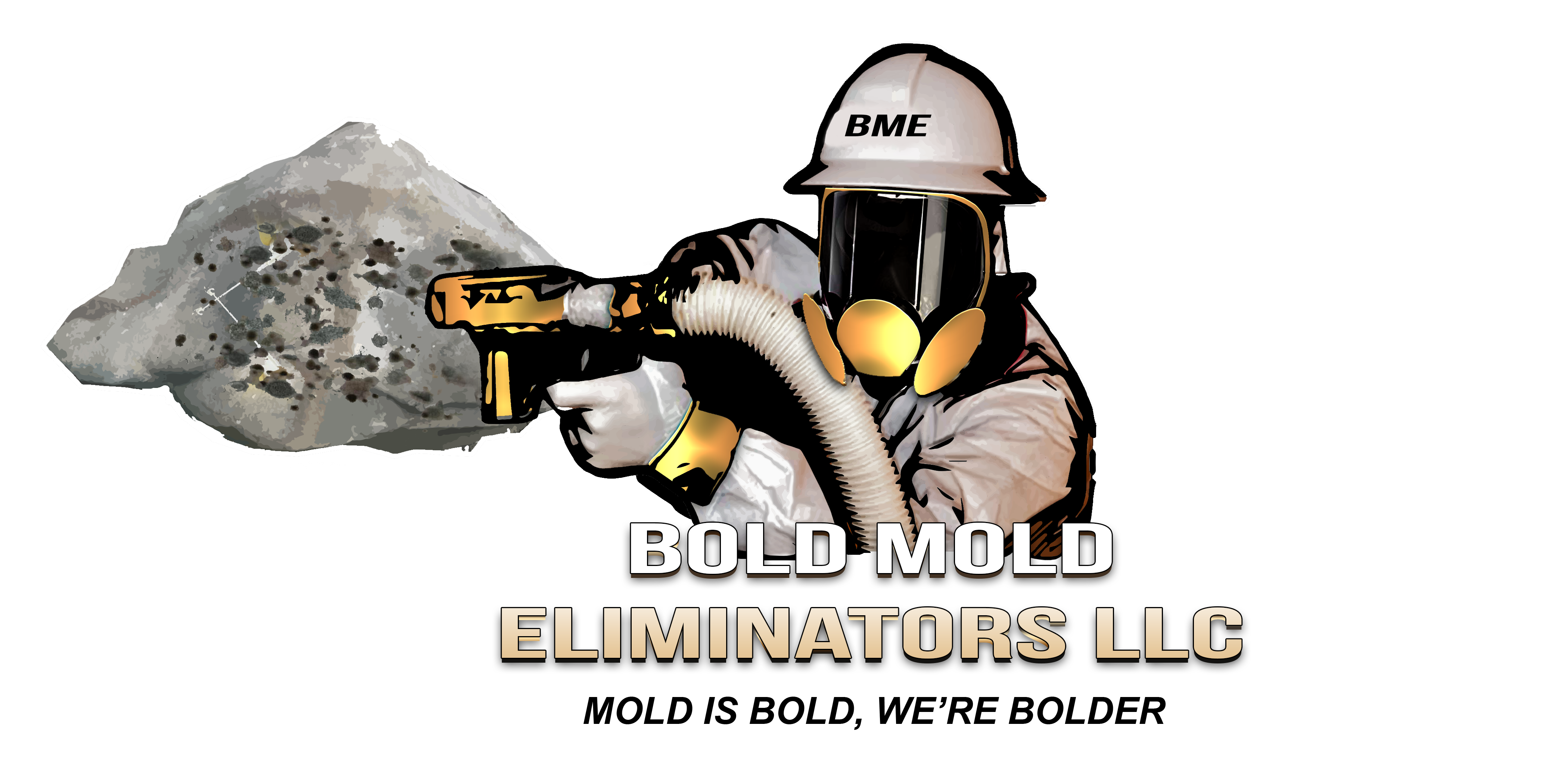 Albany Mold Eliminators